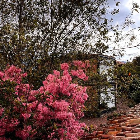 Casa Lloret Cuenca Exterior foto